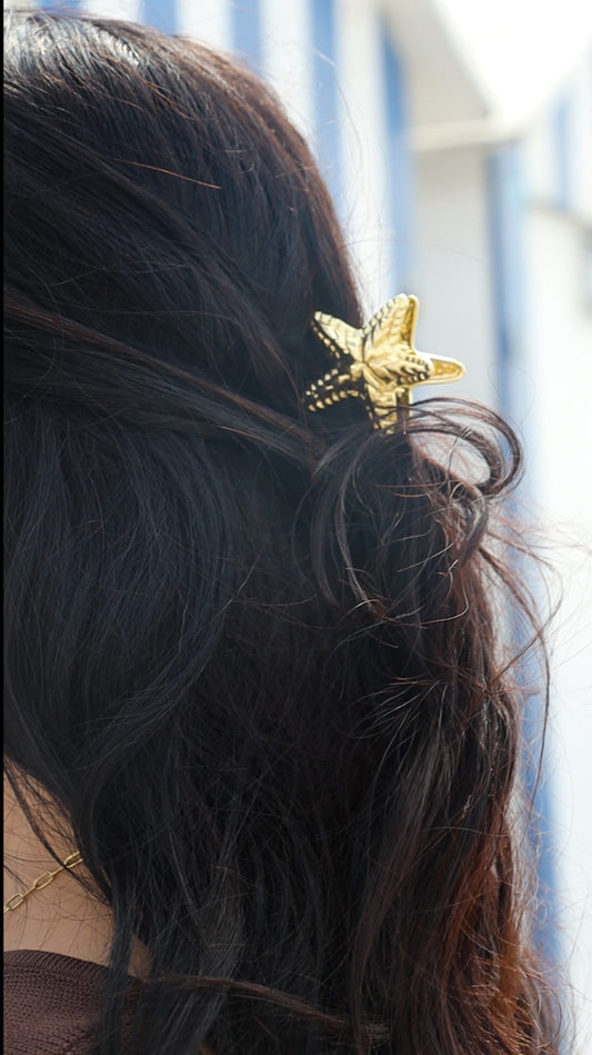 Pince à cheveux étoile de mer